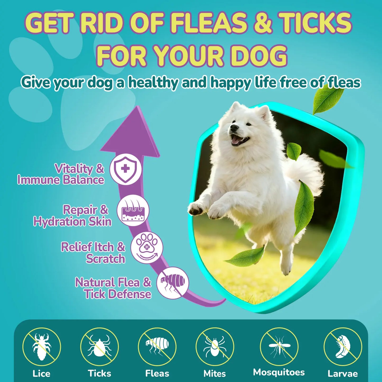 Woyamay Flea & Tick + Itch Relief for Dogs Chewables 200 Soft Chews Chicken Flavor Natural Flea Defense & Skin Repair for All Breeds Daily Supplement #Summeressentials ##Summervibes #Petllover