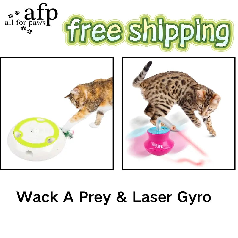Allforpaws Whack a Mole Cat Mouse Toy for Cats - Interactive Cat Toys with Automatic Feather Mice & No Touch Sensor Required