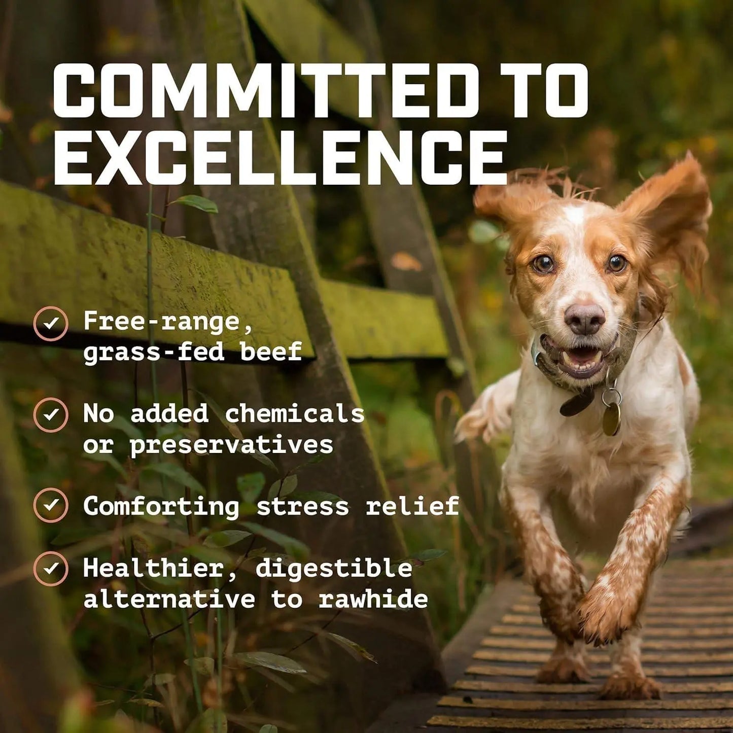 <NEW PRODUCT!> Beef Scapula Dog Chews (1 Pound) 100% Natural Free Range, Grass Fed Beef - Loaded with Glucosamine and Chondroitin to Support Joint Health