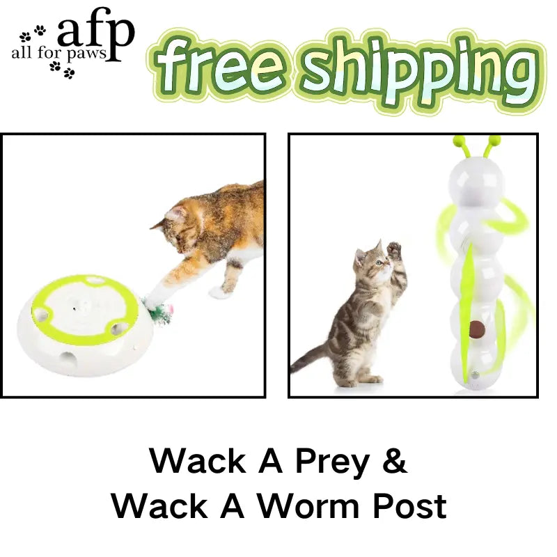 Allforpaws Whack a Mole Cat Mouse Toy for Cats - Interactive Cat Toys with Automatic Feather Mice & No Touch Sensor Required
